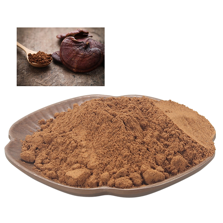 USDA Certified Organic Ganoderma Powder Review